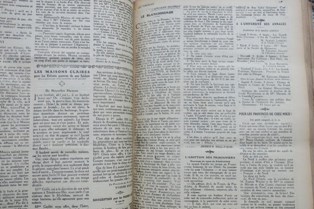 Politische und Literarische Annalen von 1919