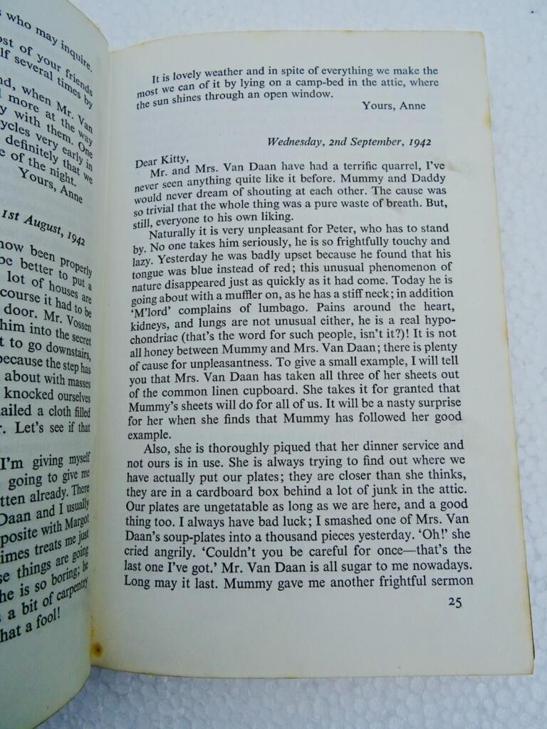 Tagebuch eines Mädchens im Krieg