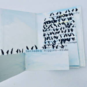 Antarctica SAVE ANTARCTICA pingouin