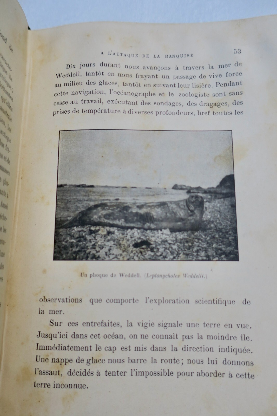 Nordenskjölds Antarktis-Expedition - Image 12