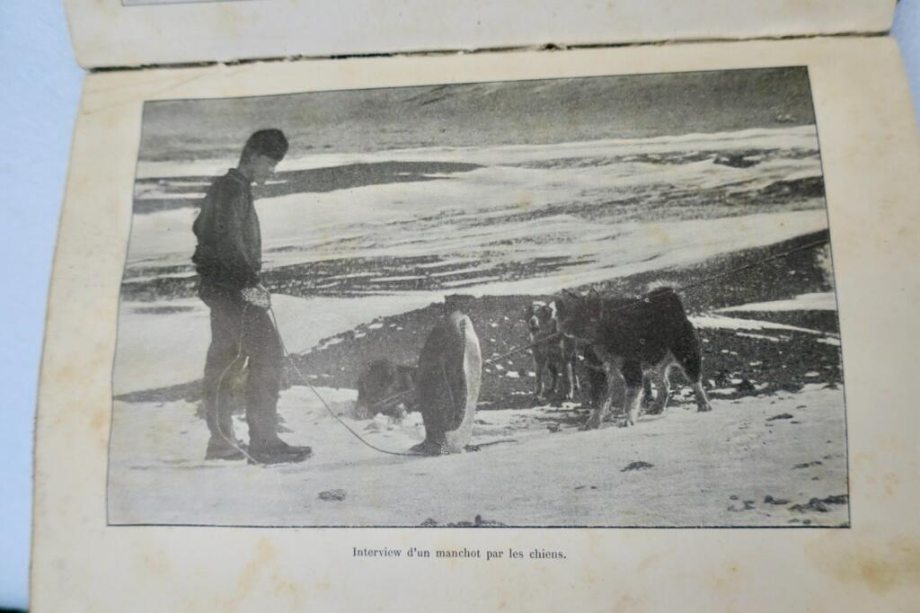 Antarctique NORDENSKJÖLD Au Pôle Antarctique