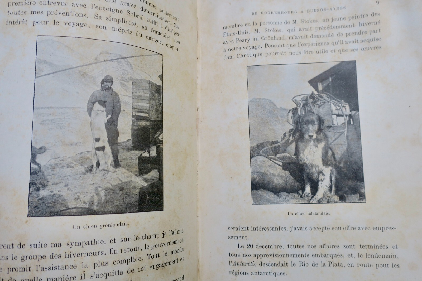 Nordenskjölds Antarktis-Expedition - Image 11
