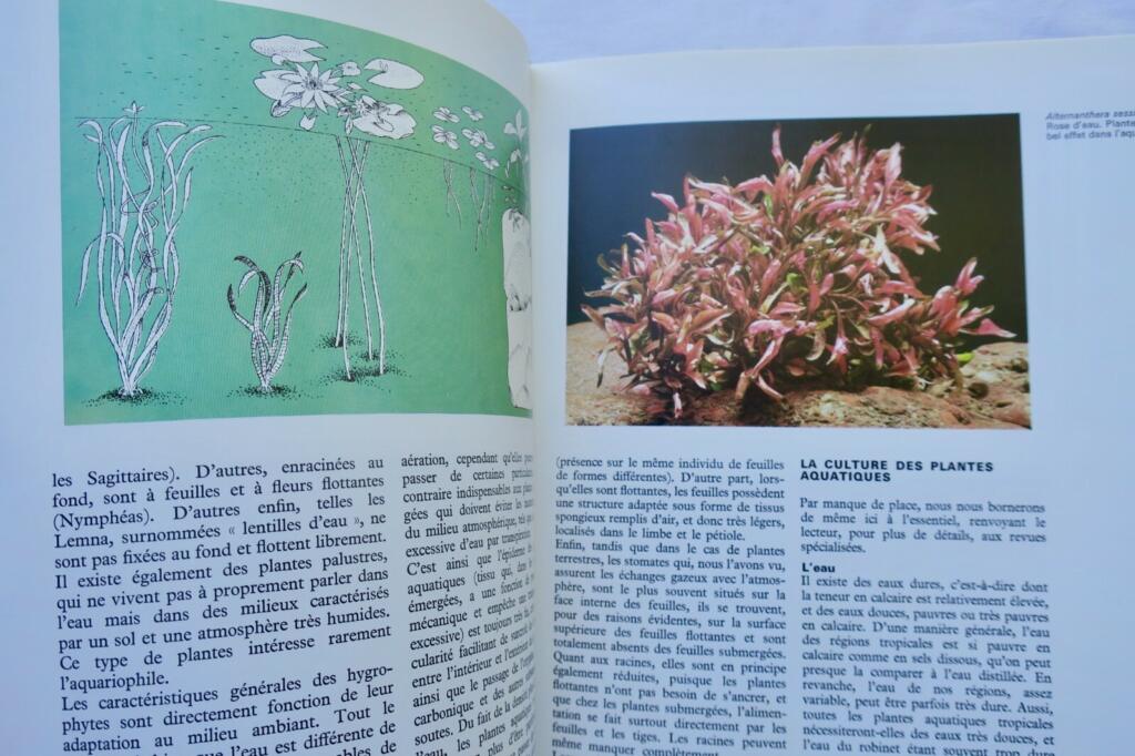 Aquarium Vie la de l&rsquo;aquarium 1975