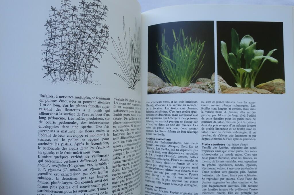 Aquarium Vie la de l&rsquo;aquarium 1975