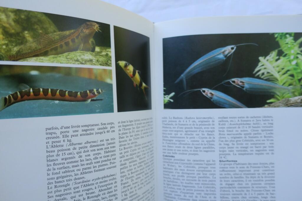 Aquarium Vie la de l&rsquo;aquarium 1975