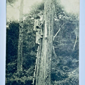 Arcachon 1907 un résinier 33