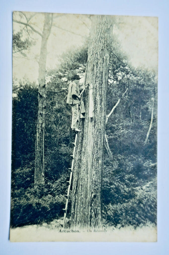 Arcachon 1907 un résinier 33