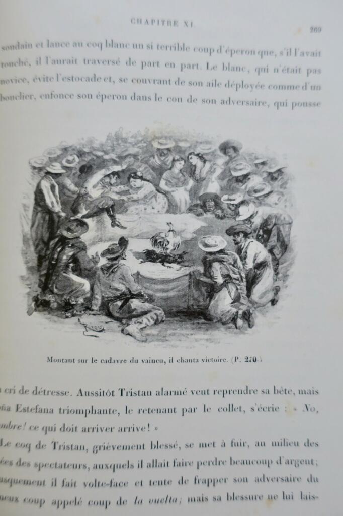 Argentine Trois ans chez les Argentins illustré par Riou