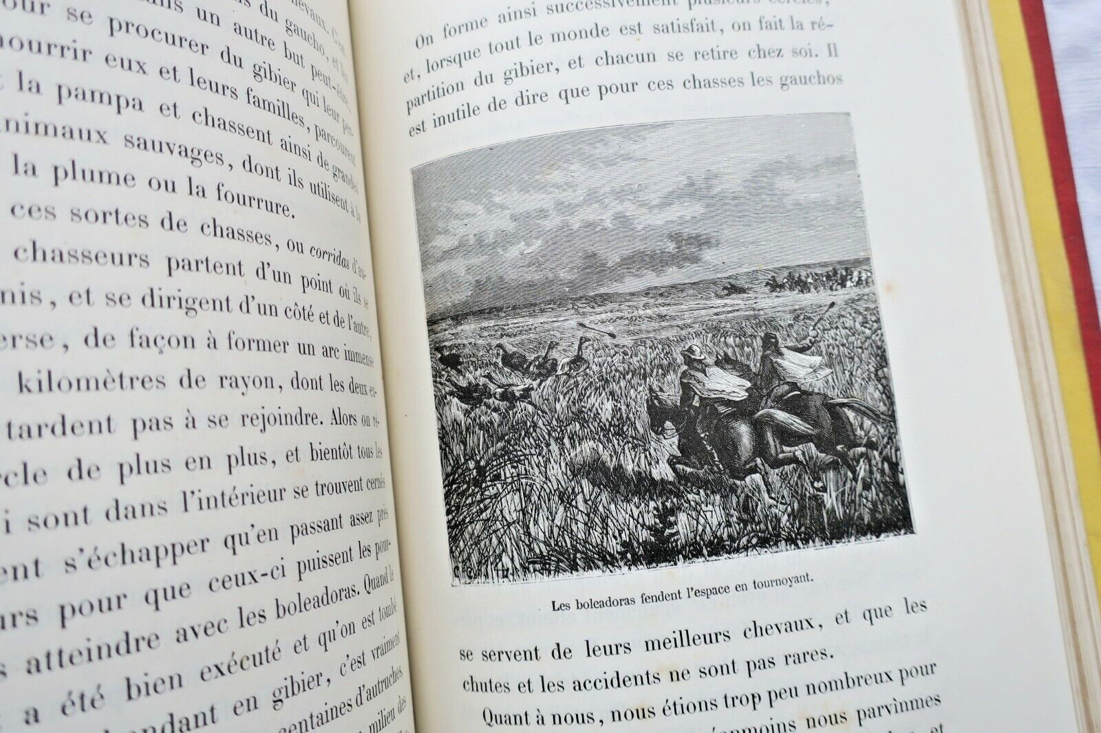 Argentine Voyages in the Pampas of the Argentine Republic 1883 – Image 4