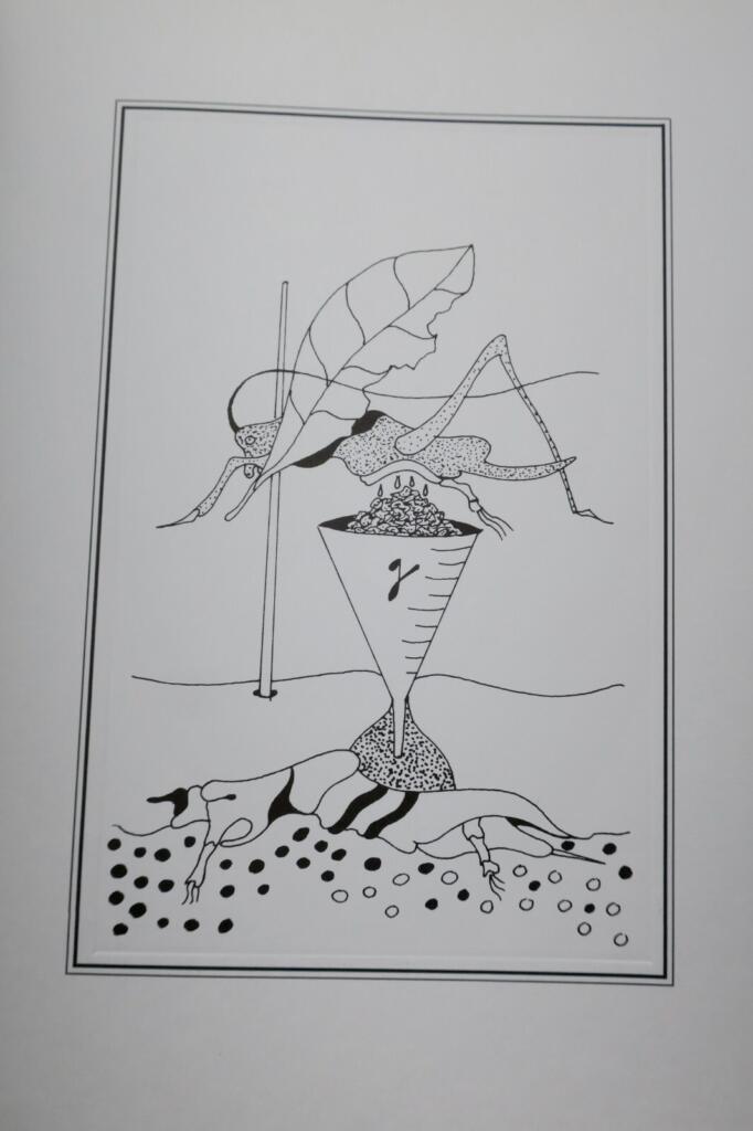 Träume von Insekten