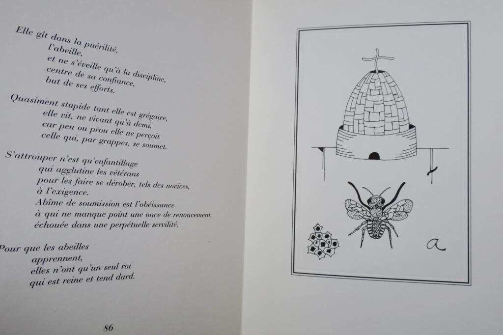 Träume von Insekten