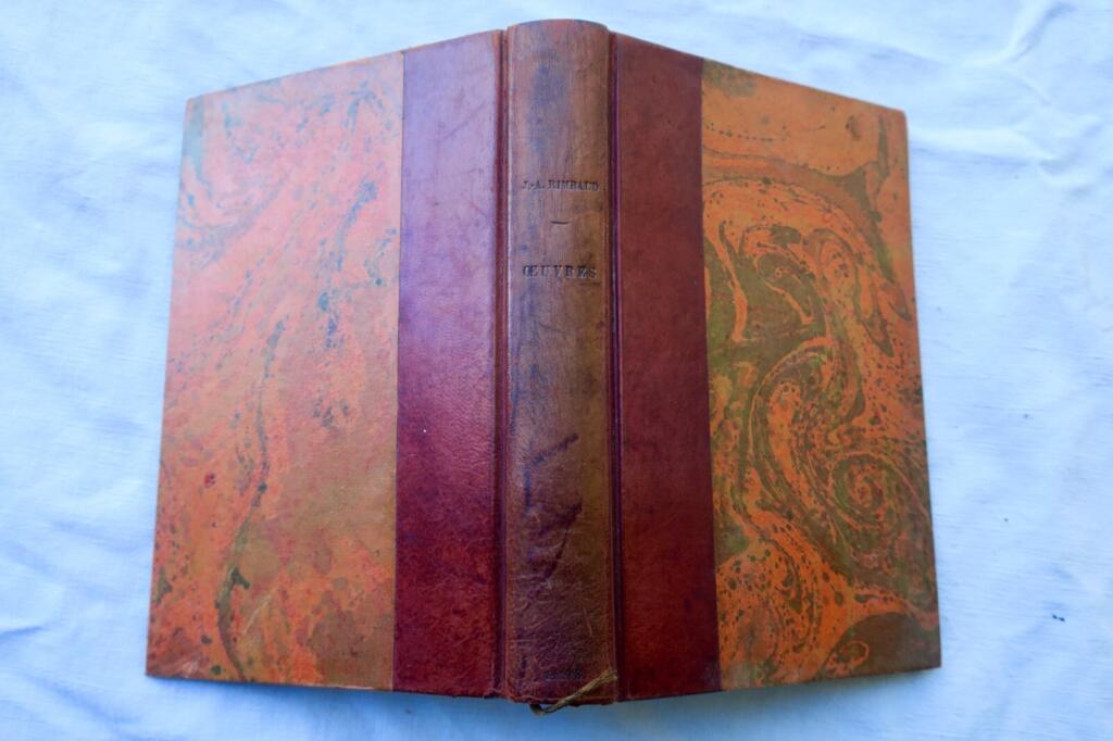 Selected Works of Rimbaud