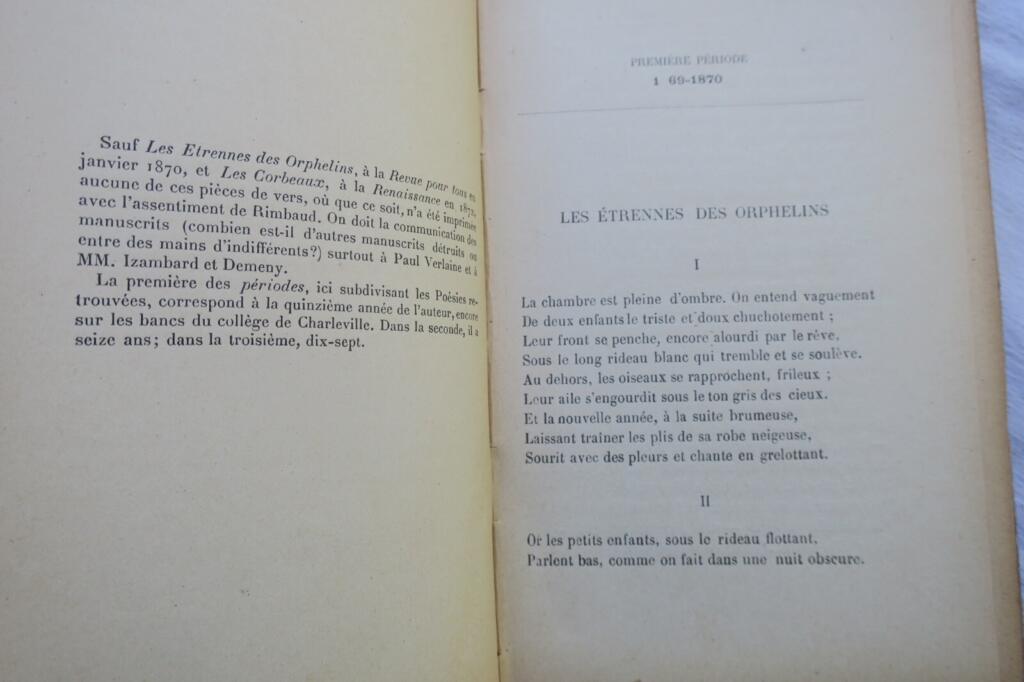 Selected Works of Rimbaud