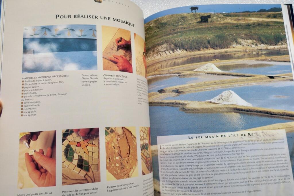 Manual Arts of Poitou-Charentes Region