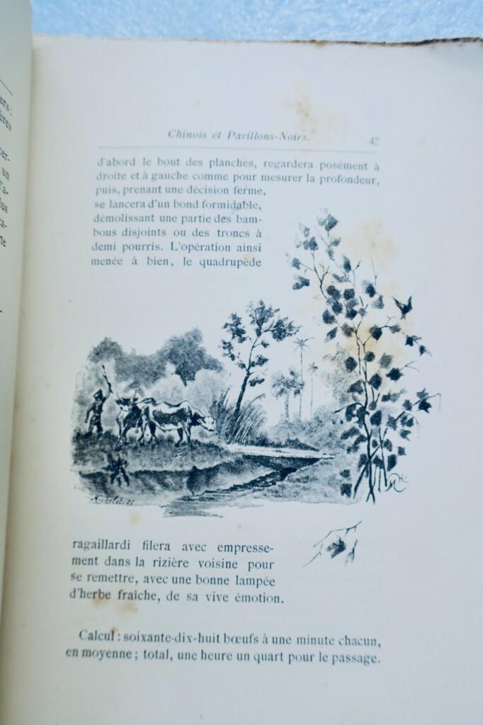 Erinnerungen an eine Fernostexpedition mit Farbillustrationen