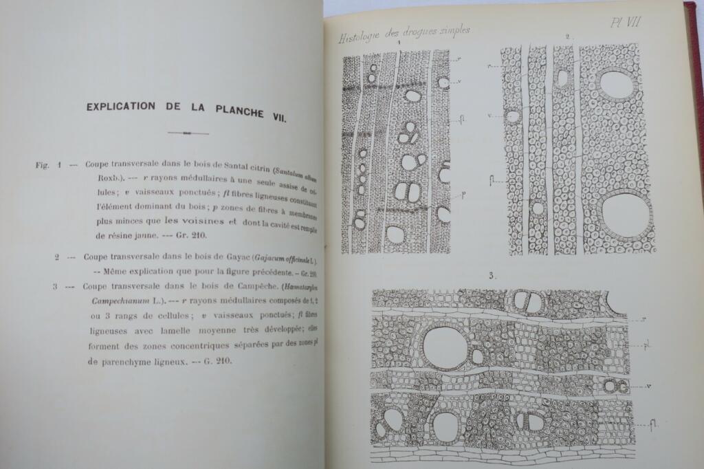 Rare atlas on simple drug histology
