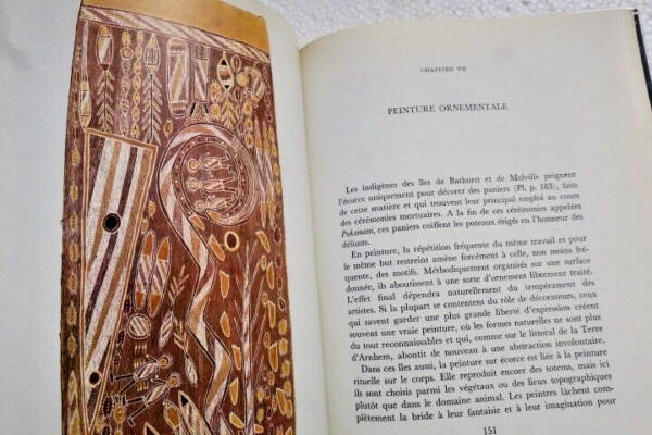 Indigenous Australian Art in Focus