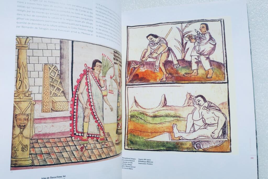 Aztec Art and Civilization
