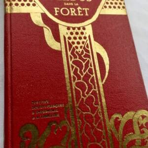 BALLANTYNE PERDUS DANS LA FORET