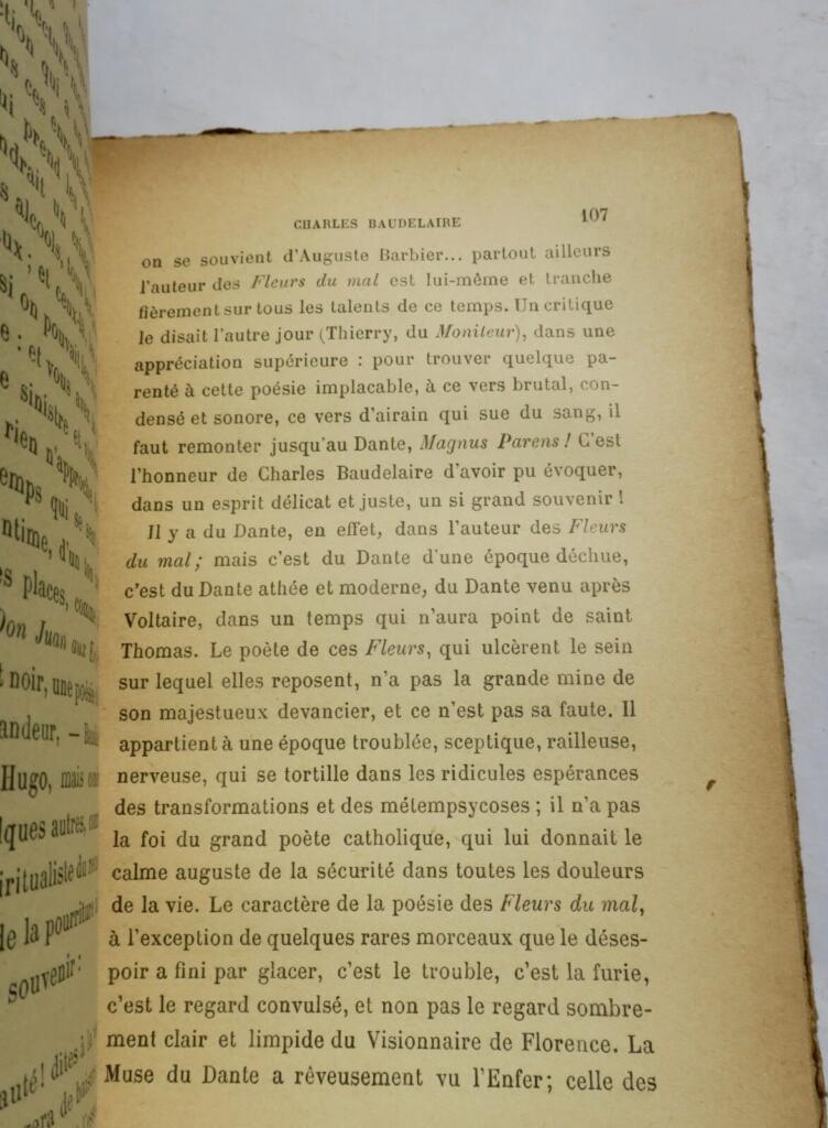 Erforschung der französischen Poesie und Dichter