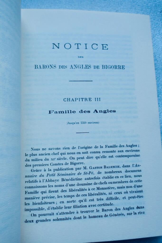 Mittelalterliche Baronien von Bigorre