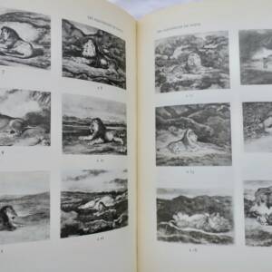 Barye Les Aquarelles de Barye. Etude critique et catalogue raisonné