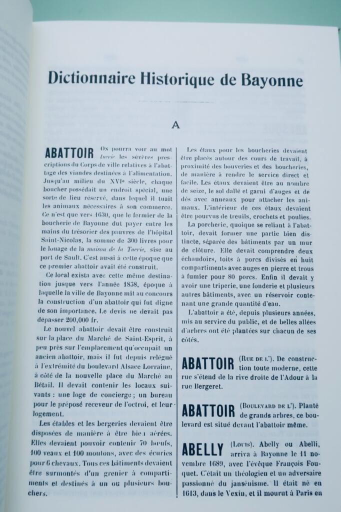 Basque DUCERE (Edouard). DICTIONNAIRE HISTORIQUE DE BAYONNE 1911