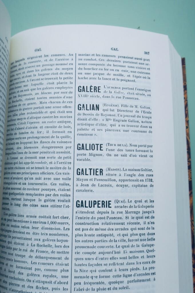 Basque DUCERE (Edouard). DICTIONNAIRE HISTORIQUE DE BAYONNE 1911