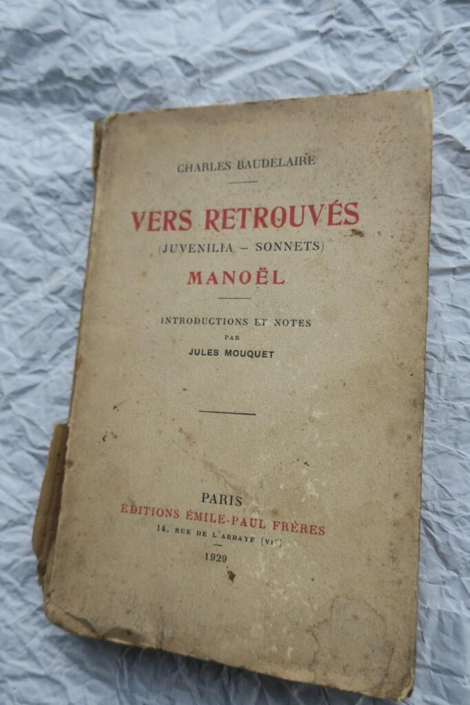 Posthume Sonette und Verse
