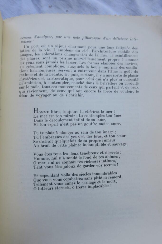 Comprehensive Critical Essay on Baudelaire's Les Fleurs du Mal