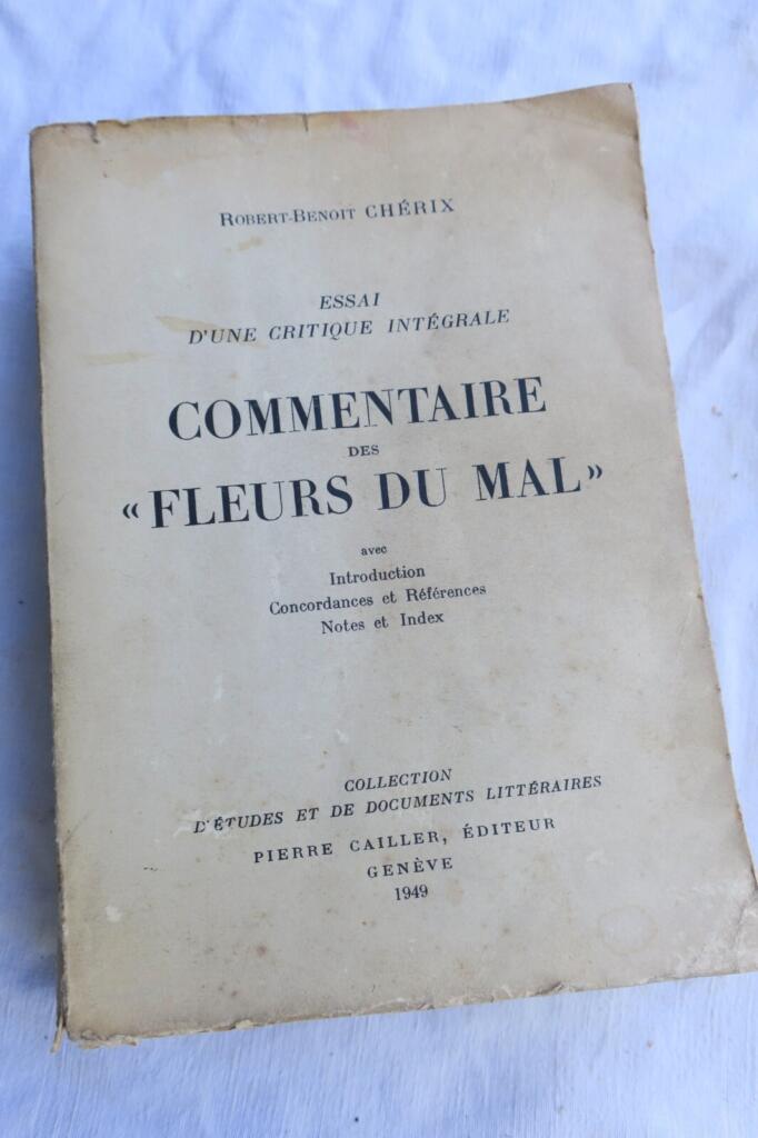 Comprehensive Critical Essay on Baudelaire's Les Fleurs du Mal