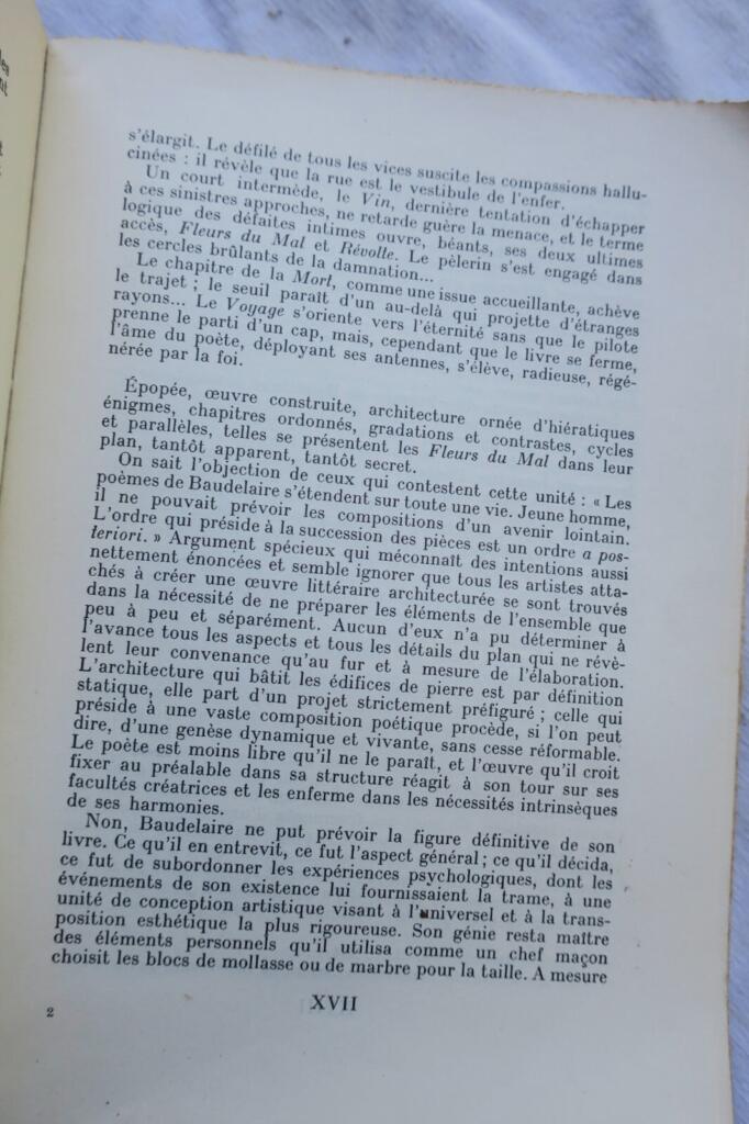Comprehensive Critical Essay on Baudelaire's Les Fleurs du Mal