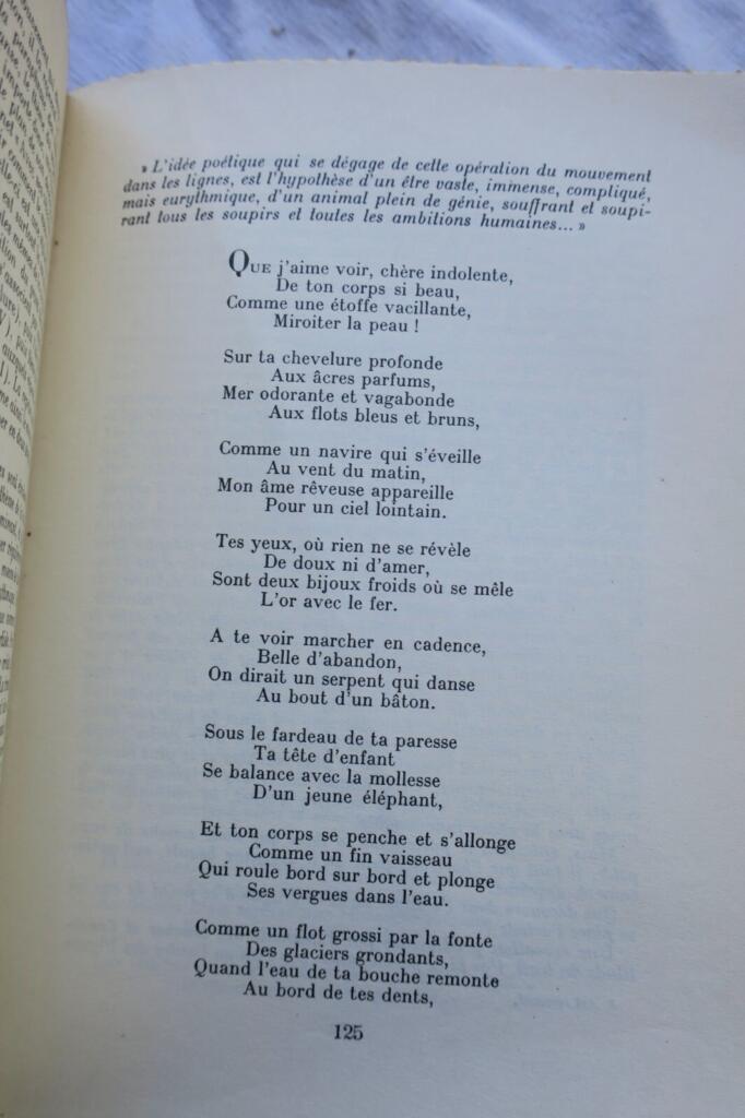 Comprehensive Critical Essay on Baudelaire's Les Fleurs du Mal