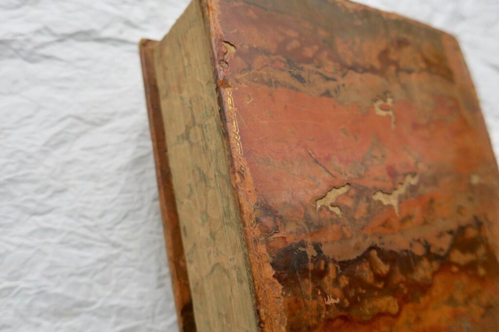 Illustrated Holy Bible by Heath and Westall