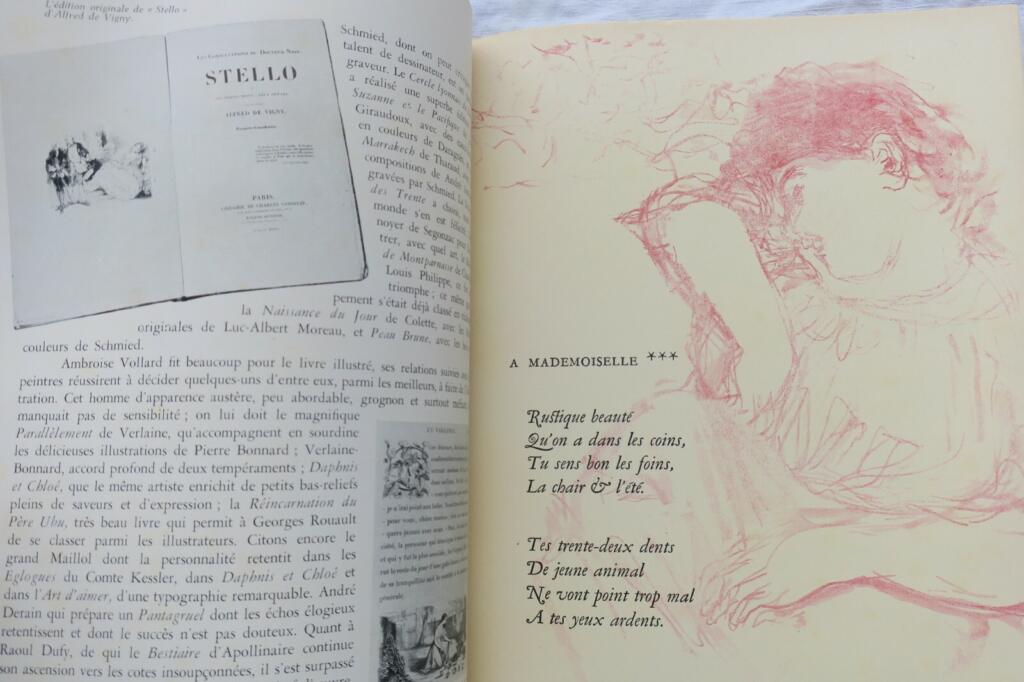 Literarische Kunstzeitschrift über Büchersammlung und Illustration