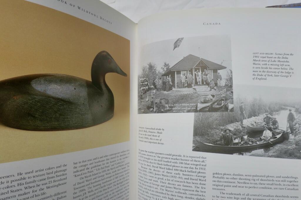 Comprehensive guide to decoy craftsmanship
