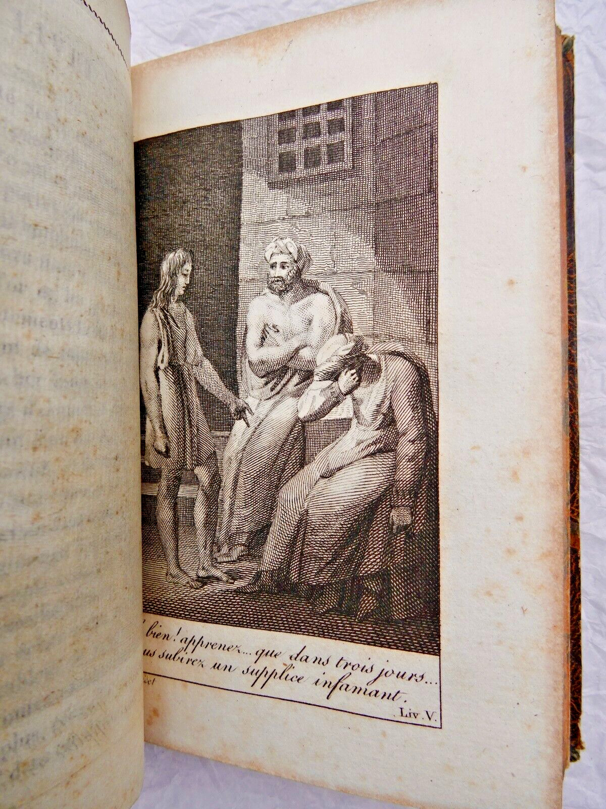 1819 French botanical work with nine engravings – Image 3