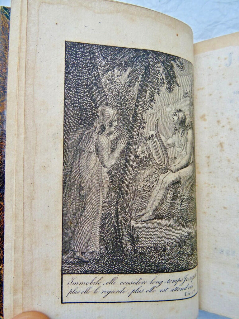 1819 French botanical work with nine engravings