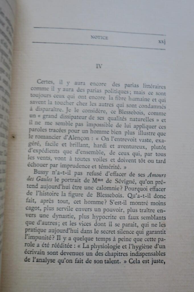 Historischer Roman mit kritischem Stilessay