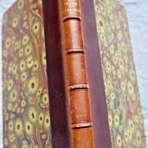 BLESSEBOIS - Marc de MONTIFAUD Le Lion d'Angelie