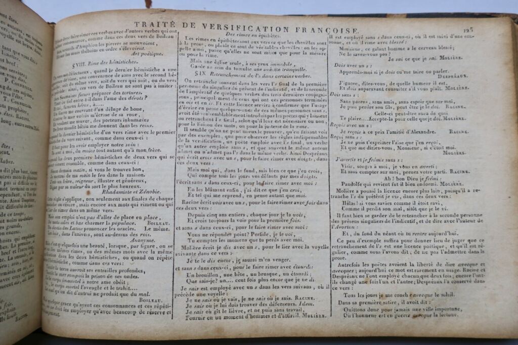 Comprehensive French-Latin Dictionary