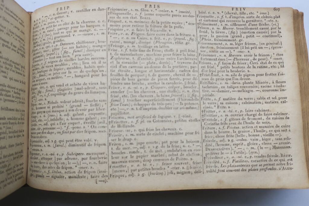 Comprehensive French-Latin Dictionary
