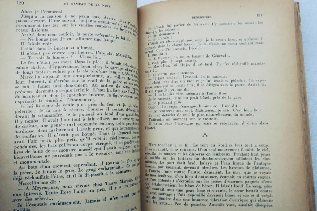 Ein Zweig in der Nacht - Widmung des Autors