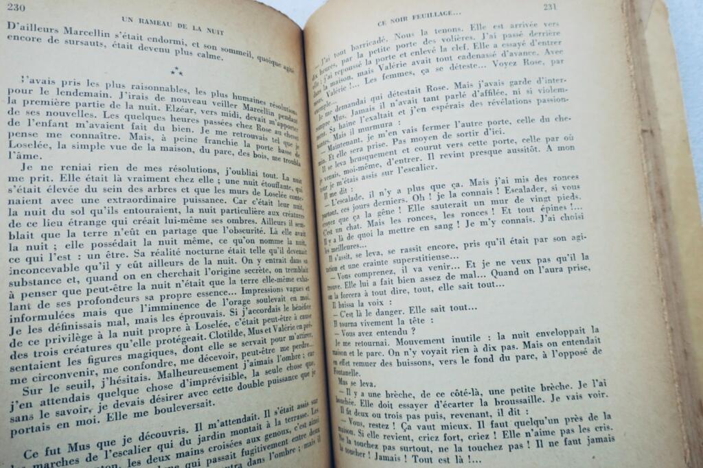 Ein Zweig in der Nacht - Widmung des Autors