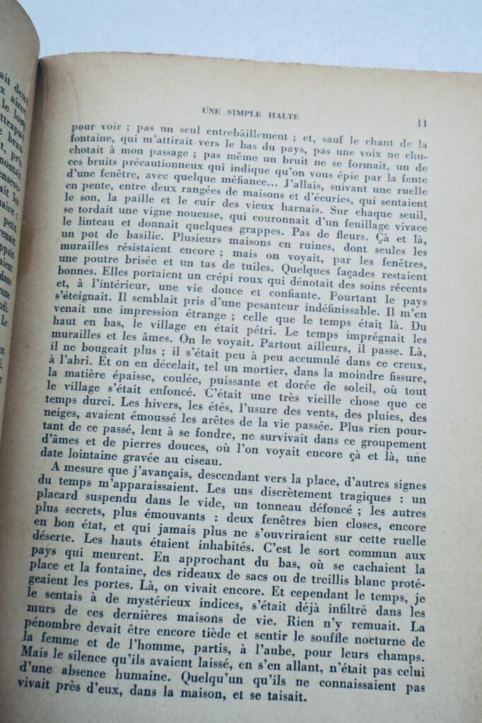 Ein Zweig in der Nacht - Widmung des Autors