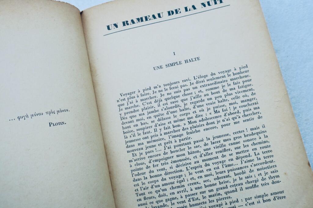 Ein Zweig in der Nacht - Widmung des Autors