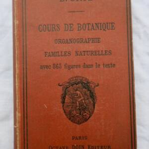 BOTANIQUE ORGANOGRAPHIE ET FAMILLE NATURELLES 1883
