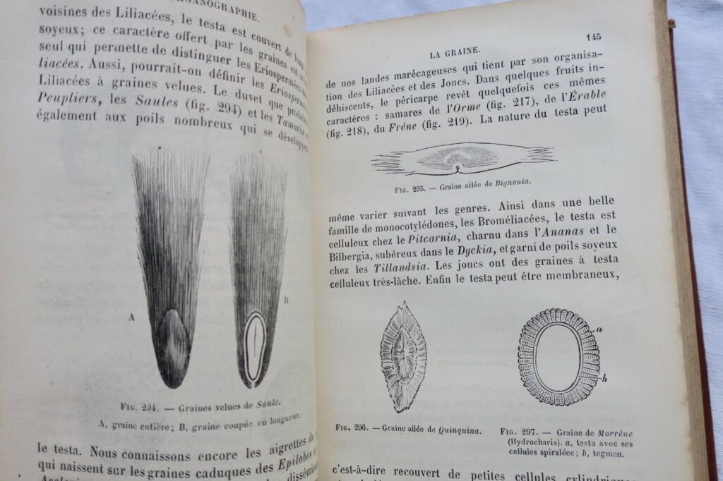 Botany Textbook 1883: Organography & Natural Families