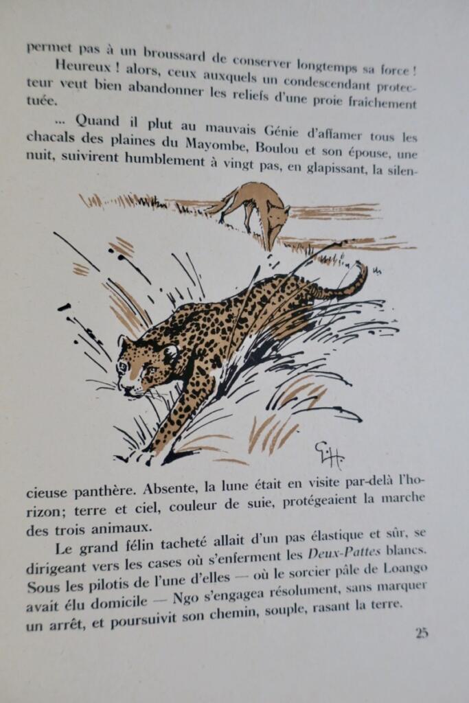 BOULOU ET M’BOTE, CHACALS DU MAYOMBE