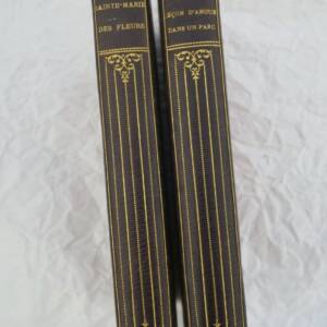 Boylesve La leçon d'amour dans un parc / Sainte-marie des fleurs